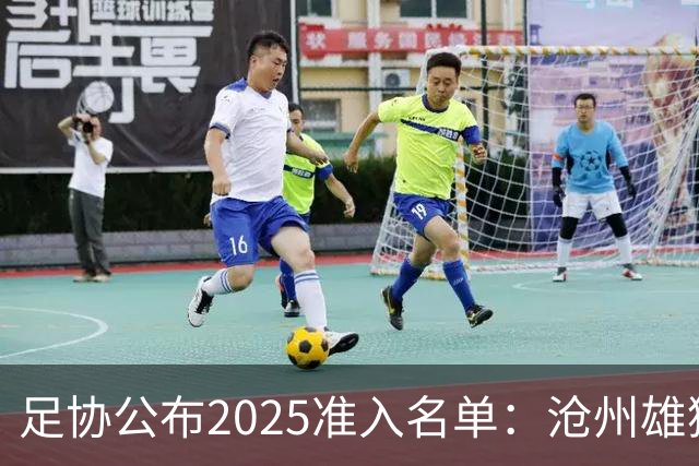 足协公布2025准入名单:沧州雄狮、广州队无缘